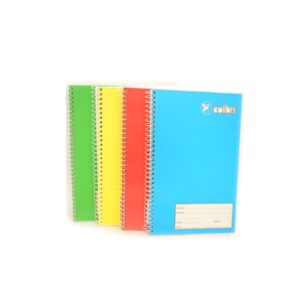 CUADERNO COLIBRI FRANCES ESPIRAL C/100H RAYA